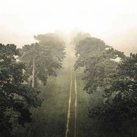 With Piano 公寓 凯斯特海伊