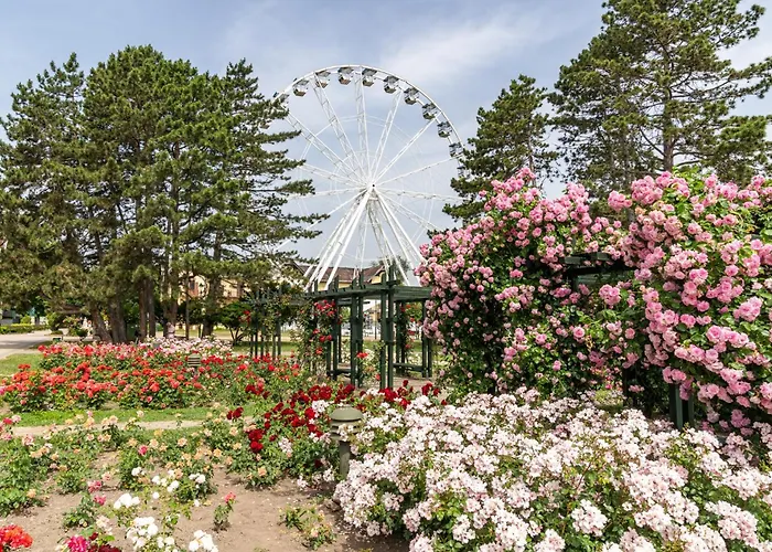 With Piano Apartment *