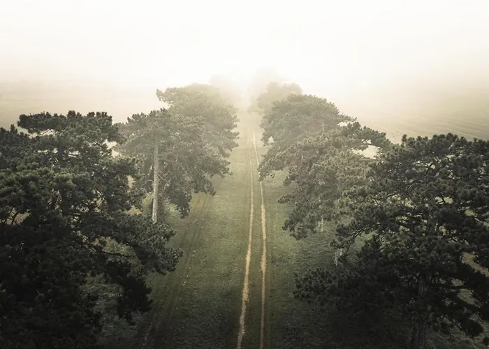 With Piano Apartment Keszthely