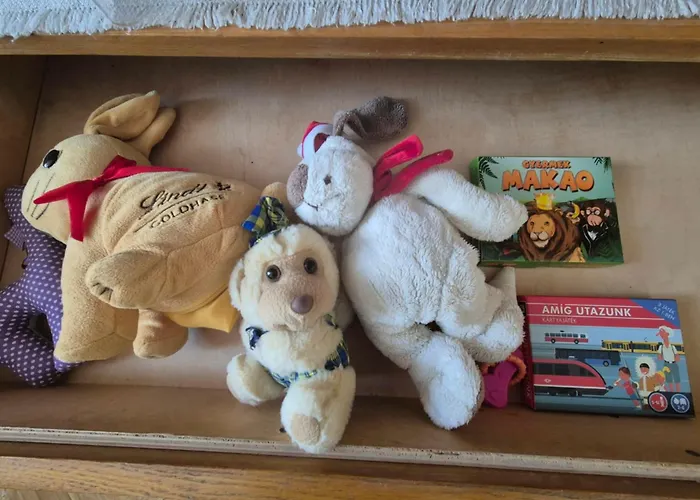 Apartment With Piano Keszthely